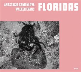 Anastasia Samoylova, Walker Evans: Floridas цена и информация | Книги по фотографии | 220.lv