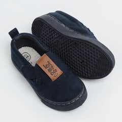 Спортивная обувь Cool Club для мальчиков, CAS1W22-CB400, синий цвет цена и информация | Стильные кеды для детей | 220.lv