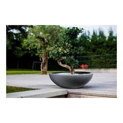 Банка EDA Graphit Washbasin Пластик Темно-серый (Ø 59 x 21 cm) цена и информация | Вазоны | 220.lv