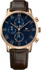 Vīriešu pulkstenis Tommy Hilfiger 1791399 KANE (ZF045B) cena un informācija | Vīriešu pulksteņi | 220.lv