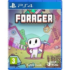 Видеоигры PlayStation 4 Meridiem Games Forager цена и информация | Компьютерные игры | 220.lv