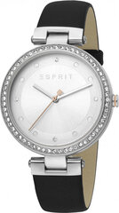 Женские часы Esprit Breezy Stones Leather Silver цена и информация | Женские часы | 220.lv