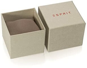 Женские часы Esprit Breezy Stones Leather Silver цена и информация | Женские часы | 220.lv