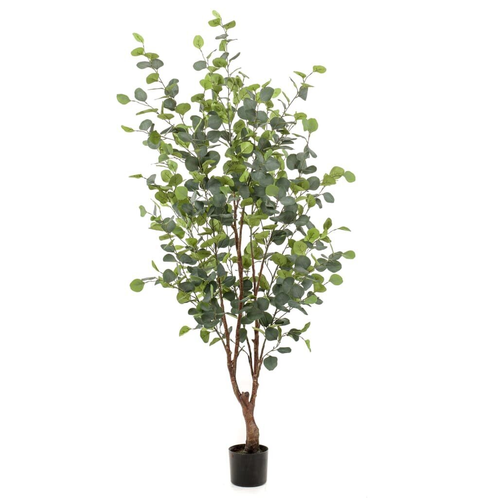 Emerald mākslīgais augs podā, eikalipta koks, 140 cm cena un informācija | Mākslīgie ziedi | 220.lv