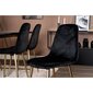 Venture Home virtuves krēsli Polar, 2 gab., melns samts un misiņš цена и информация | Virtuves un ēdamistabas krēsli | 220.lv