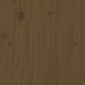 vidaXL kafijas galdiņš, medus brūns, 110x55x45 cm, priedes masīvkoks cena un informācija | Žurnālgaldiņi | 220.lv