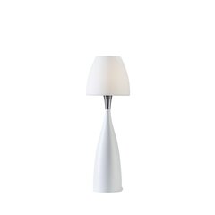Настольная лампа Belid Anemon 4105389 цена и информация | Настольные светильники | 220.lv