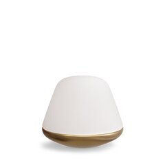 Herstal galda lampa Metāla/klases misiņš/palstikls HV462019218 cena un informācija | Galda lampas | 220.lv