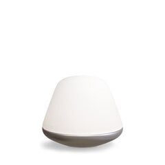 Настольная лампа Herstal Bloom HV462020718 цена и информация | Настольные светильники | 220.lv