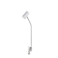 Belid galda lampa metāla balta struktūra 4889068 цена и информация | Настольные лампы | 220.lv