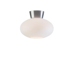 Belid Galda lampa Metāla alumīnijs/palstikls 223611 цена и информация | Потолочные светильники | 220.lv