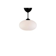 Belid Galda lampa Metāla plakana melna/krāsas stikls 223507389 cena un informācija | Griestu lampas | 220.lv