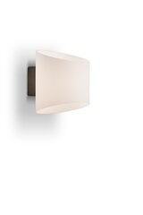 Herstal sienas lampas Metāls/klase Antracīts/palstikls HB03036141520 cena un informācija | Sienas lampas | 220.lv