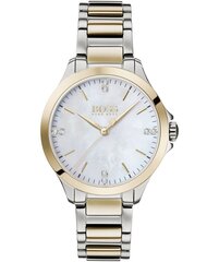 Женские часы Hugo Boss Boss Diamonds Stainless Steel Nacre цена и информация | Женские часы | 220.lv