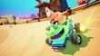 Nickelodeon Kart Racers 3, PlayStation 5 цена и информация | Datorspēles | 220.lv