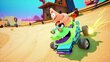 Nickelodeon Kart Racers 3, PlayStation 5 cena un informācija | Datorspēles | 220.lv