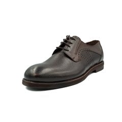 Туфли мужские Nicolo Ferretti 26202 цена и информация | Мужские ботинки | 220.lv