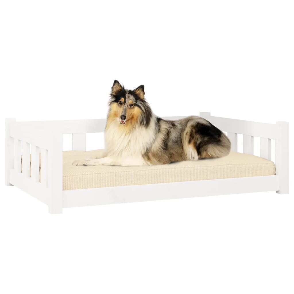 vidaXL suņu gulta, balta, 95,5x65,5x28 cm, priedes masīvkoks cena un informācija | Suņu gultas, spilveni, būdas | 220.lv