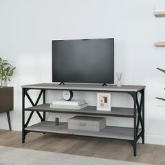 vidaXL TV skapītis, pelēka ozolkoka, 100x40x50 cm, inženierijas koks cena un informācija | TV galdiņi | 220.lv