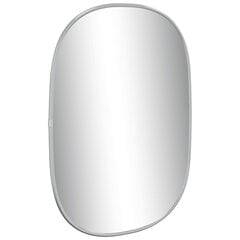vidaXL sienas spogulis, sudraba krāsā, 50x35 cm цена и информация | Зеркала | 220.lv