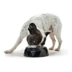 Кормушка для собак Hunter Kimberley меламин Нержавеющая сталь Белый Треугольный (17,5 x 17,5 x 4,5 cm) цена и информация | Миски, ящики для корма | 220.lv