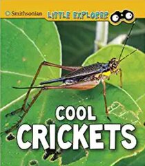 Cool Crickets цена и информация | Книги для подростков  | 220.lv