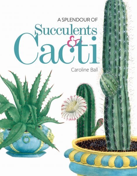 Splendour of Succulents & Cacti cena un informācija | Grāmatas par dārzkopību | 220.lv