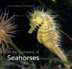 In the Company of Seahorses cena un informācija | Grāmatas par veselīgu dzīvesveidu un uzturu | 220.lv
