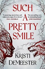 Such a Pretty Smile цена и информация | Фантастика, фэнтези | 220.lv