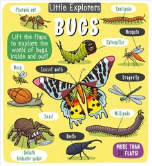 Little Explorers: Bugs цена и информация | Книги для подростков  | 220.lv