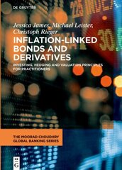 Inflation-Linked Bonds and Derivatives: Investing, hedging and valuation principles for practitioners cena un informācija | Ekonomikas grāmatas | 220.lv