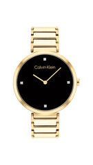 Sieviešu pulkstenis Calvin Klein CK25200136 цена и информация | Женские часы | 220.lv