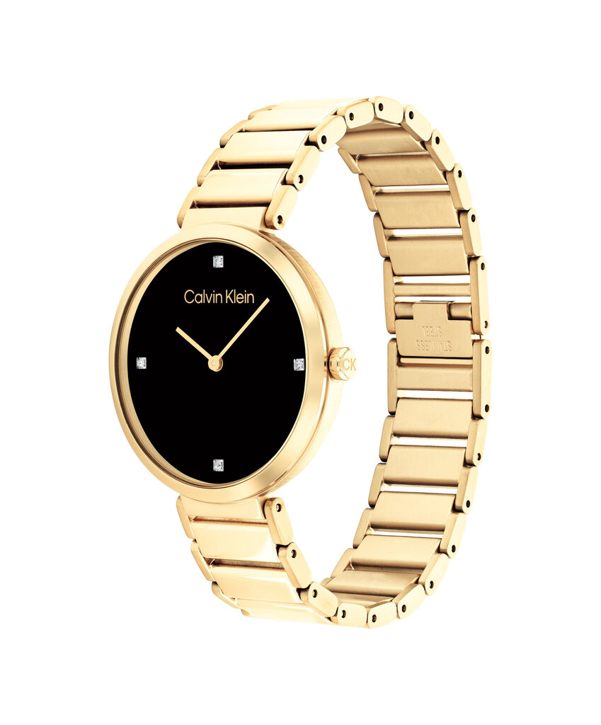 Sieviešu pulkstenis Calvin Klein CK25200136 цена и информация | Sieviešu pulksteņi | 220.lv