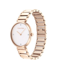 Sieviešu pulkstenis Calvin Klein 25200135 cena un informācija | Sieviešu pulksteņi | 220.lv