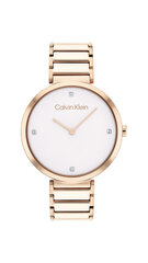 Sieviešu pulkstenis Calvin Klein 25200135 цена и информация | Женские часы | 220.lv