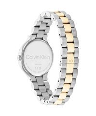 Sieviešu pulkstenis Calvin Klein 25200132 cena un informācija | Sieviešu pulksteņi | 220.lv
