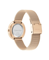 Sieviešu pulkstenis Calvin Klein 25200013 cena un informācija | Sieviešu pulksteņi | 220.lv