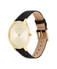Sieviešu rokas pulkstenis Calvin Klein 25200008 cena un informācija | Sieviešu pulksteņi | 220.lv
