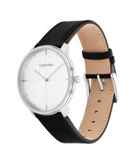 Calvin Klein Iconic часы цена и информация | Женские часы | 220.lv