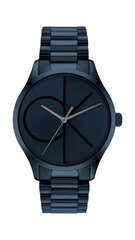 Pulkstenis Calvin Klein CK25200166 цена и информация | Женские часы | 220.lv