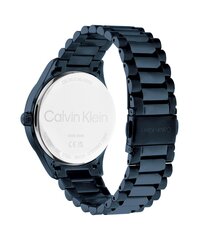 Pulkstenis Calvin Klein CK25200166 цена и информация | Женские часы | 220.lv