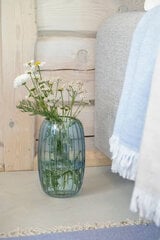 Ваза Fanni K, 25 см цена и информация | ваза для цветов с подставкой 3 шт. | 220.lv