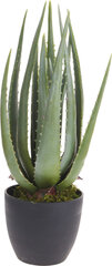 Искусственное растение в горшке 45 см цена и информация | Детали интерьера | 220.lv