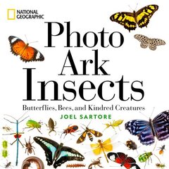 National Geographic Photo Ark Insects: Butterflies, Bees, and Kindred Creatures cena un informācija | Grāmatas par veselīgu dzīvesveidu un uzturu | 220.lv