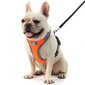 Suņu iejūgs ASTRO oranžā izmēra S cena un informācija | Apkakles, siksnas suņiem | 220.lv