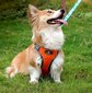 Suņu iejūgs ASTRO oranžā izmēra S cena un informācija | Apkakles, siksnas suņiem | 220.lv