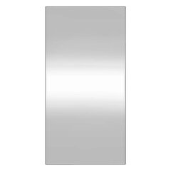 vidaXL sienas spogulis, 40x80 cm, stikls, taisnstūra cena un informācija | Spoguļi | 220.lv