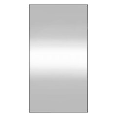 vidaXL sienas spogulis, 50x100 cm, stikls, taisnstūra cena un informācija | Spoguļi | 220.lv