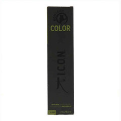 Noturīga Krāsa Color Ecotech Hi-Lift Icon Nº 107ss Irisé (60 ml) cena un informācija | Matu krāsas | 220.lv