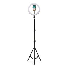 Gredzenveida lampa 26cm diameter + tripod 1,6m cena un informācija | Apgaismojums fotografēšanai | 220.lv